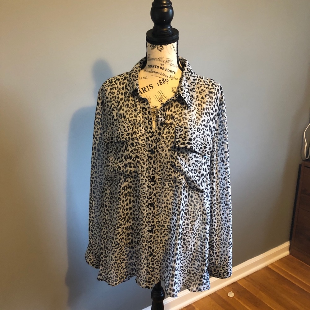 3/$20 Classy Cheetah